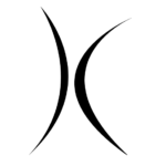 Firmenlogo TanzXclusive schwarz