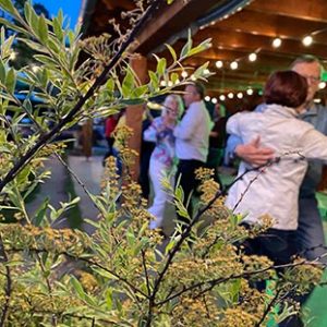 Freies Tanzen - Standard/ Latein in den Spaeth'schen Baumschulen