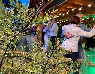 Freies Tanzen - Standard/ Latein in den Spaeth'schen Baumschulen