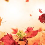 Herbstball TanzXclusive